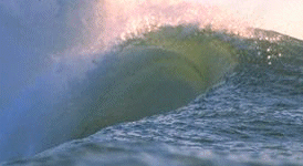 SURFING Pictures